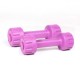 Body Maxx 1 Kg Pvc Colored Dumbells x 1 Pair. Total 2 kg pvc dumbells sets